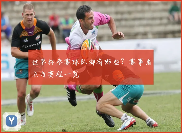 世界杯参赛球队都有哪些?赛事看点与赛程一览