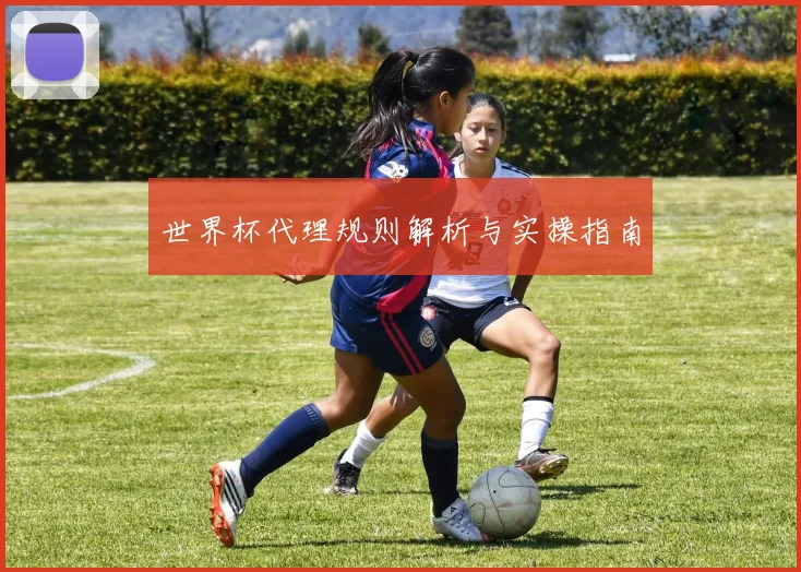 世界杯代理规则解析与实操指南
