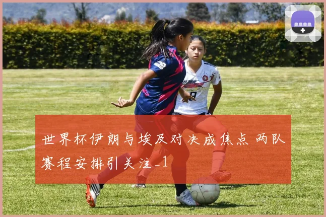 世界杯伊朗与埃及对决成焦点 两队赛程安排引关注_1